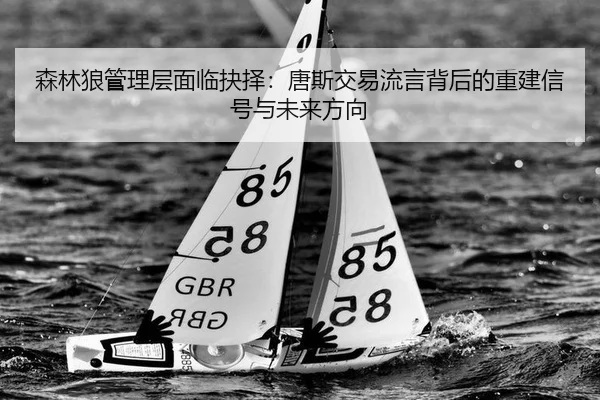 森林狼管理层面临抉择：唐斯交易流言背后的重建信号与未来方向